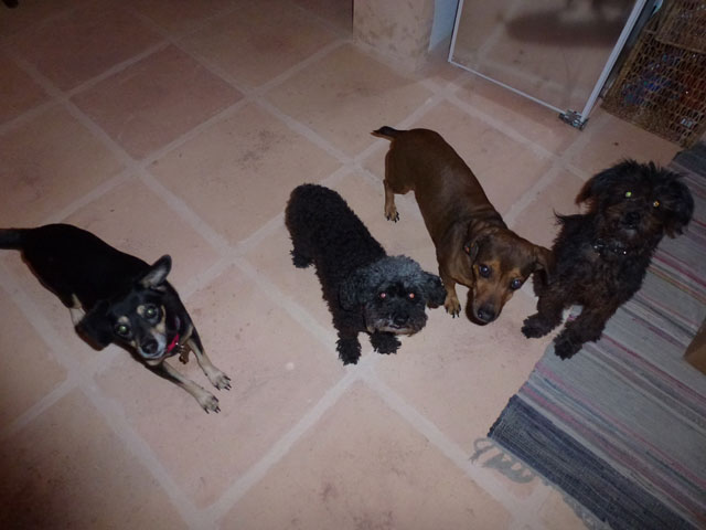 4freunde_fb.jpg 4freunde_fb.jpg