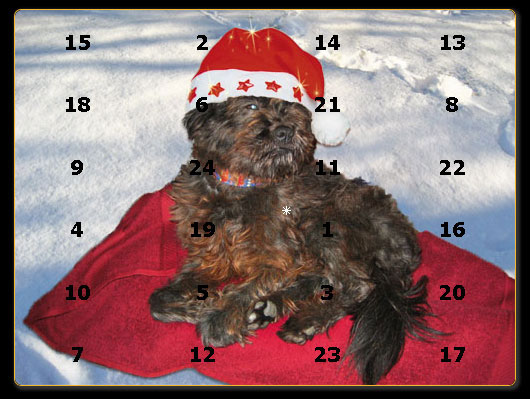 Adventskalender_n.jpg