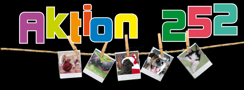Aktion_252_fb.jpg Aktion_252_fb.jpg