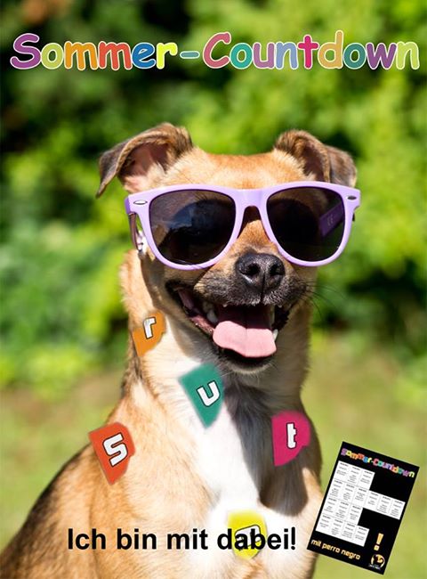 Felicitas2.jpg Felicitas2.jpg