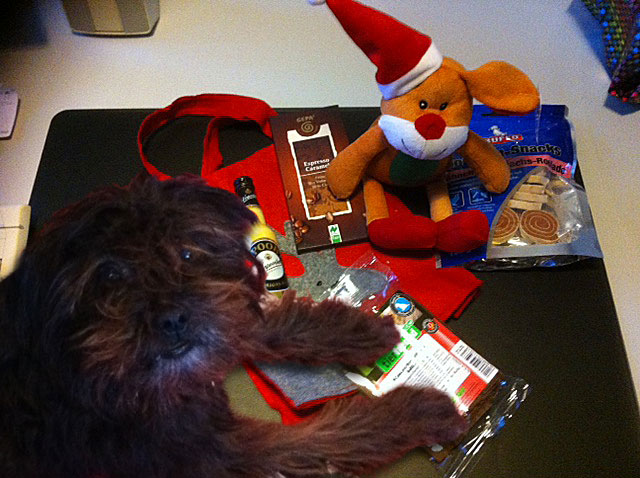 Foto_Geschenk_mit_Sunny.jpg Foto_Geschenk_mit_Sunny.jpg