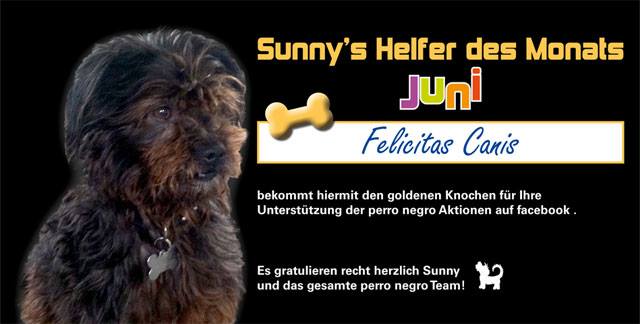 Helfer des Monats.jpg