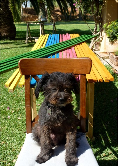 Karibikflair.JPG Karibikflair.JPG