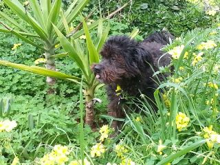 Marli_10.JPG Marli_10.JPG