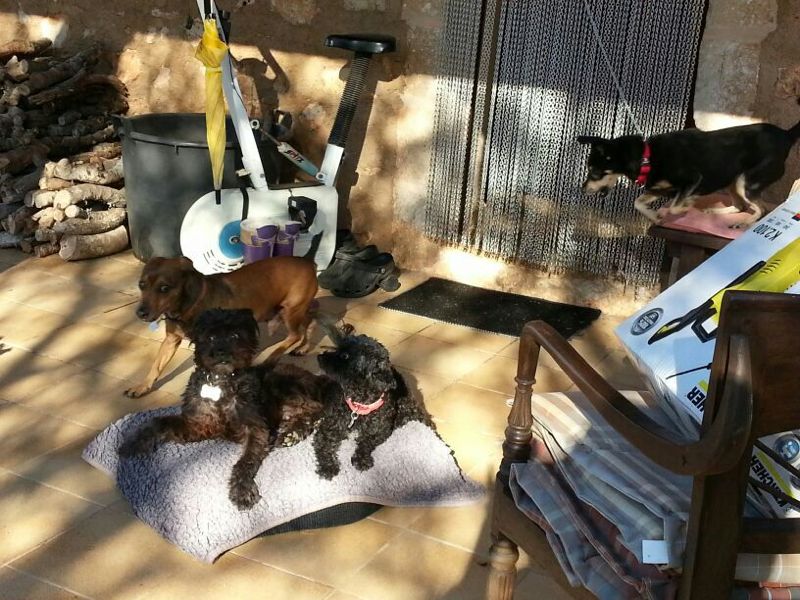 Marli_4.jpg Marli_4.jpg