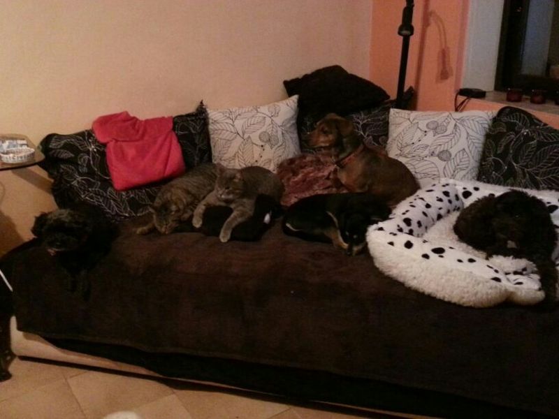 Marli_5.jpg Marli_5.jpg