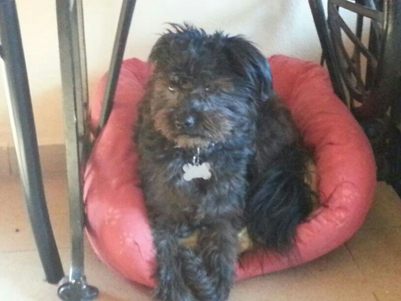 Marli_7.jpg Marli_7.jpg