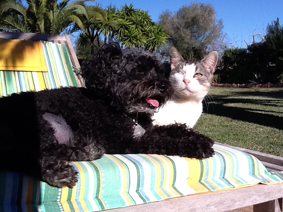 Nena und Kasimir.JPG