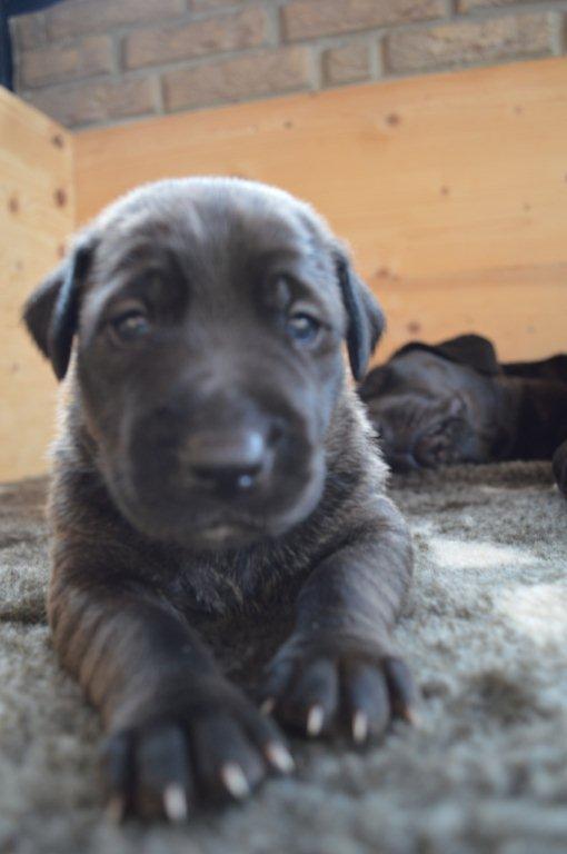 Sunny Schroeder jun.jpg Sunny Schroeder jun.jpg