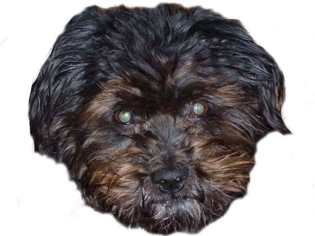 Sunnymaske_fb.jpg Sunnymaske_fb.jpg