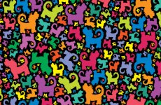 Tagebuch__bunter Hzns.JPG Tagebuch__bunter Hzns.JPG