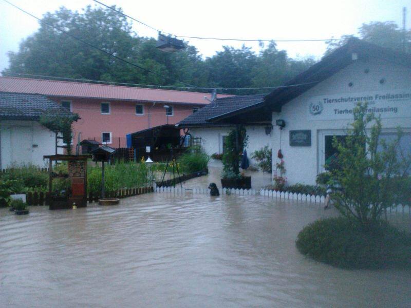 Tierheim Freilassing 3.jpg