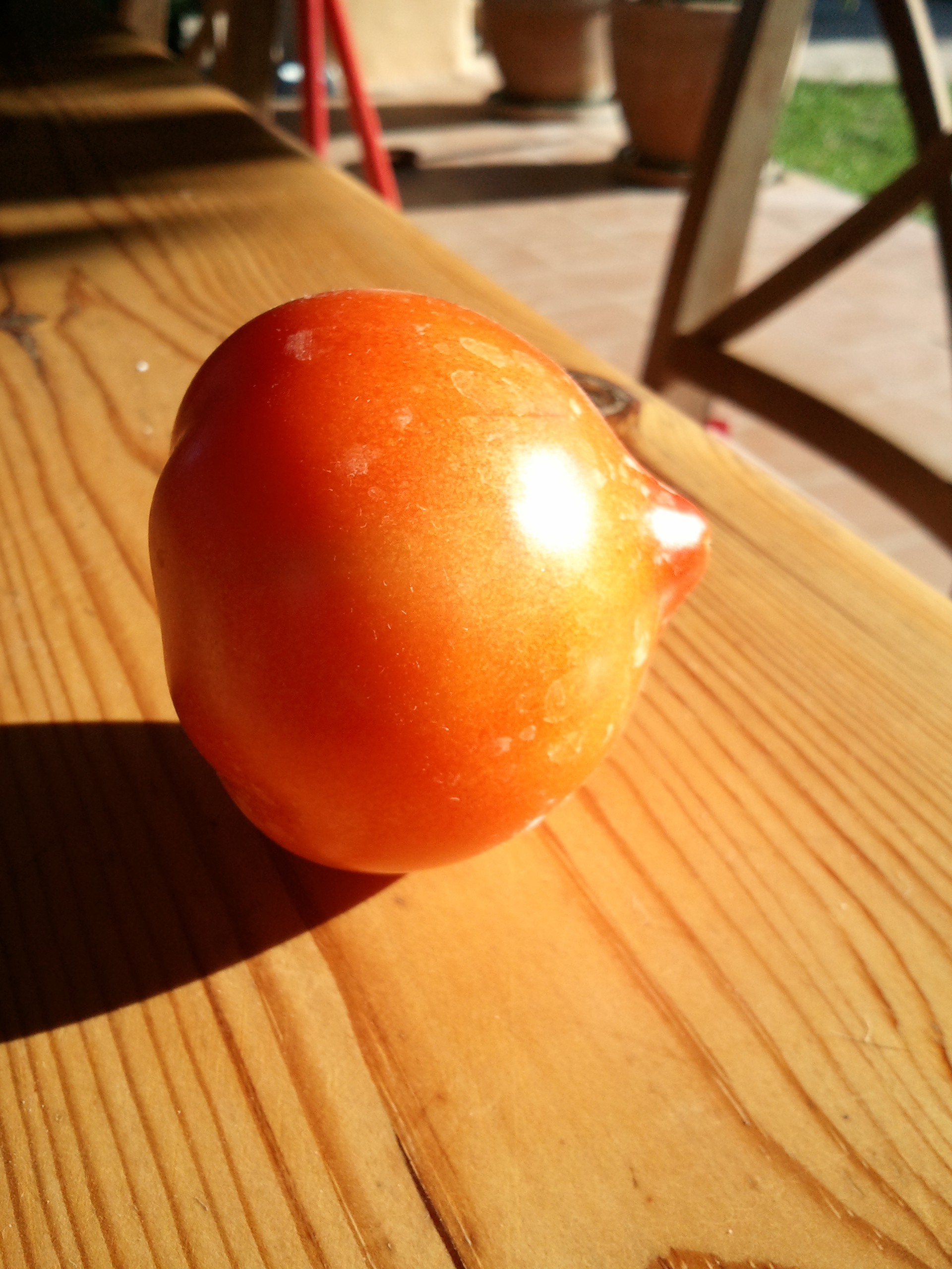 Tomate.jpg Tomate.jpg