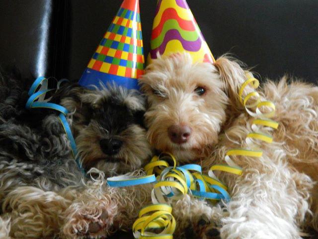 Tommy und Lima.jpg Tommy und Lima.jpg