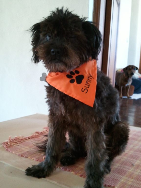 Xavers Tuch.jpg Xavers Tuch.jpg