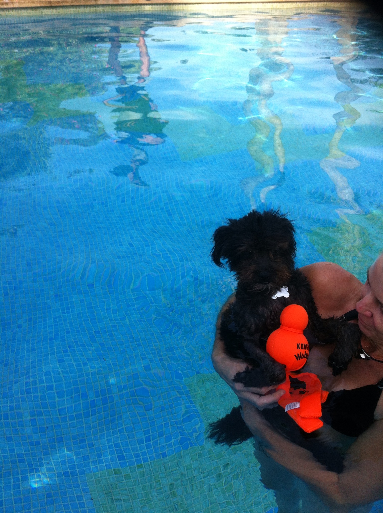 im Pool.JPG im Pool.JPG