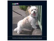 image026.jpg image026.jpg