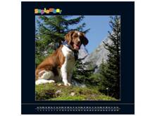 image028.jpg image028.jpg