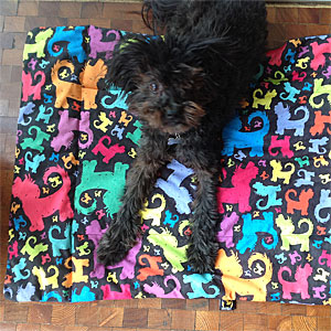 pn_PN413.jpg pn_PN413.jpg