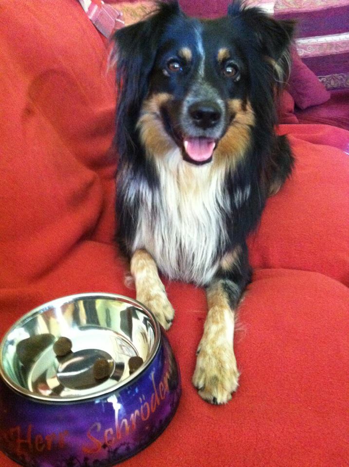 schroeder.jpg schroeder.jpg