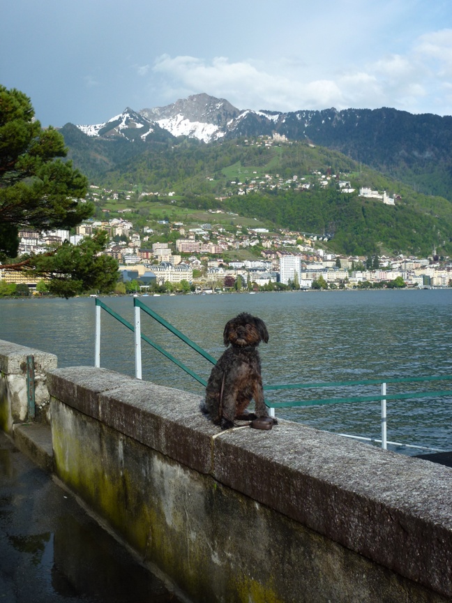 schweiz.JPG schweiz.JPG